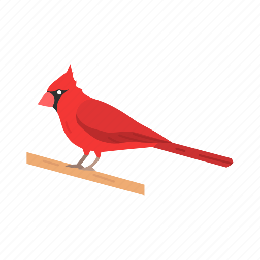 Animal, bird, cardinal, northern cardinal, passerine bird, redbird, songbird icon - Download on Iconfinder