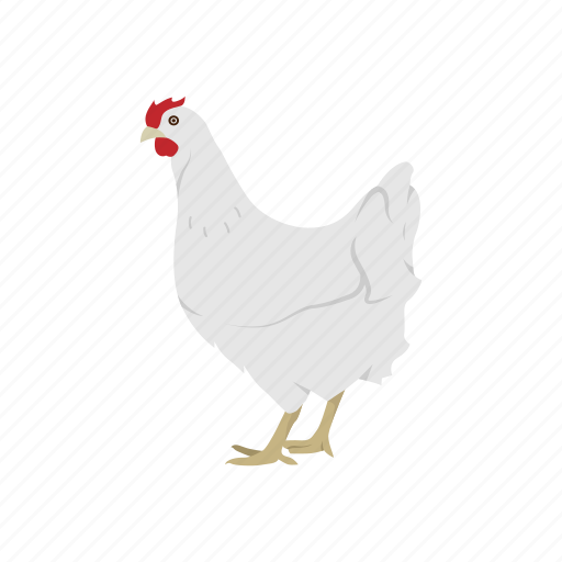 Animal, bird, chicken, cock, galinaceous bird, hen, rooster icon - Download on Iconfinder