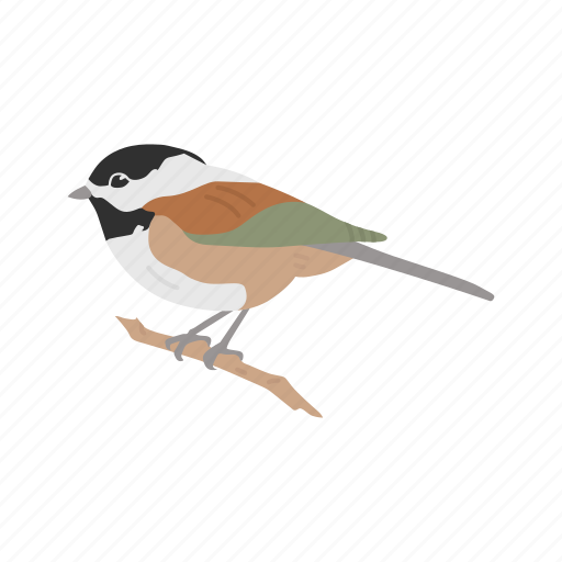 Animal, bird, chickadee, passerine bird, songbird, vertebrates icon - Download on Iconfinder