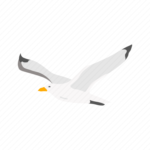 Animal, bird, flying bird, gull, migratory bird, sea gull, seagull icon - Download on Iconfinder