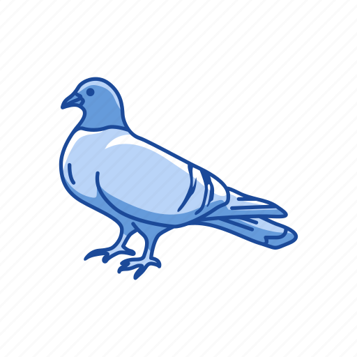 Animal, bird, domestic pigeon, feather, homing pigeon, pigeon, wings icon - Download on Iconfinder