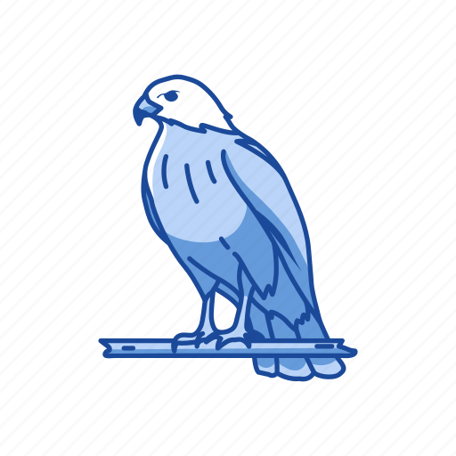Animal, bird, duck hawk, fish hawk, goshawk, hawk icon - Download