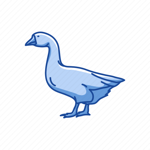 Animal, beak, bill, bird, emden goose, goose, waterflow icon - Download on Iconfinder