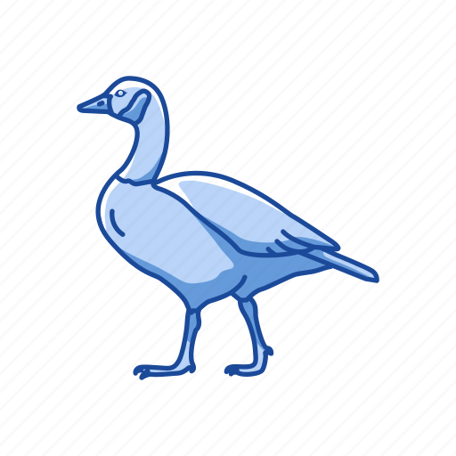 Animal, beak, bird, canada goose, feather, goose, waterfowl icon - Download on Iconfinder