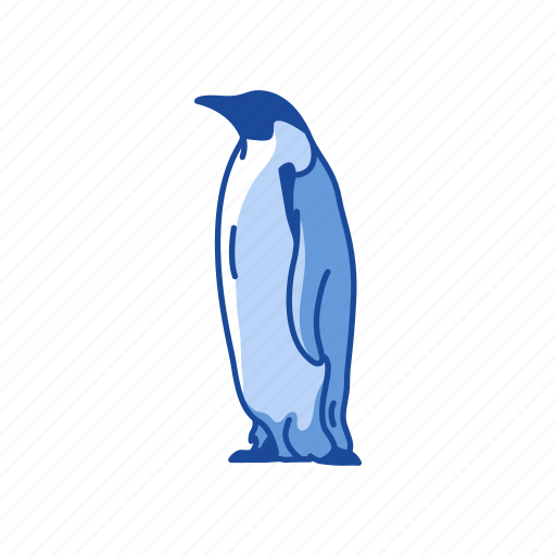 Animal, aquatic bird, baby penguin, bird, flippers, penguin icon - Download on Iconfinder