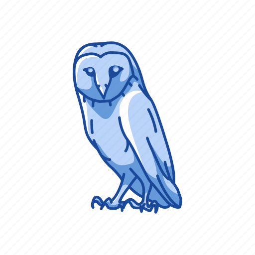 Animal, bird, nocturnal, owl, talons, western barn owl icon - Download on Iconfinder