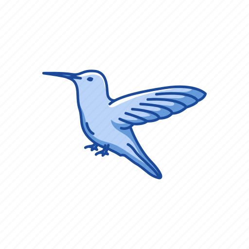 Animal, beating wing, bird, feather, flying bird, hummingbird, territorial bird icon - Download on Iconfinder