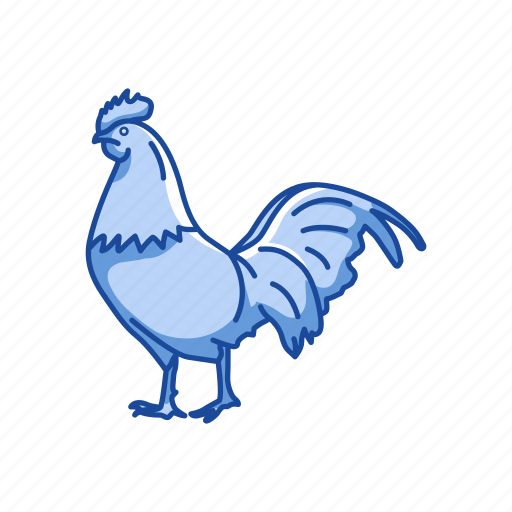 Animal, bird, chicken, cock, domestic animal, gallinaceous bird icon - Download on Iconfinder