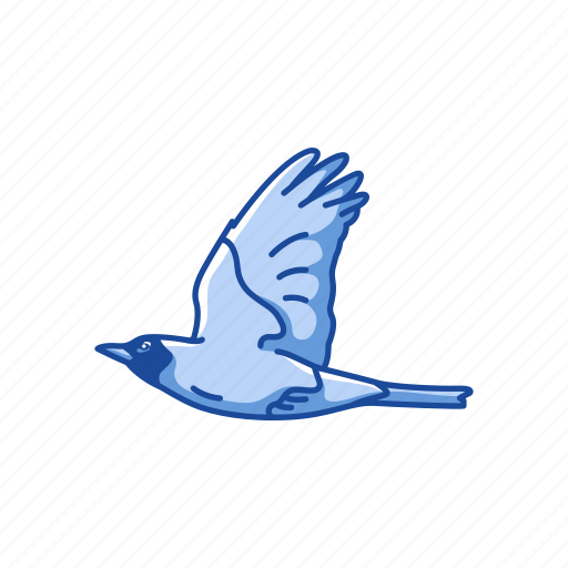 Animal, baltimore oriole, bird, orche oriole, passerine bird icon - Download on Iconfinder