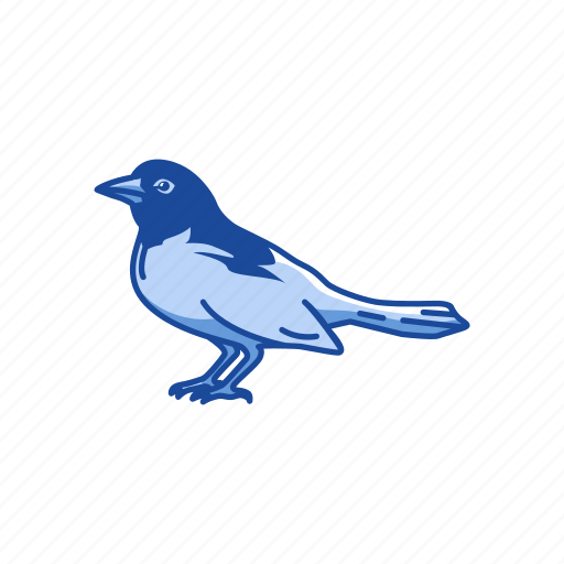 Animal, bird, ochre oriole, orchard oriole, oriole, passerine bird icon - Download on Iconfinder