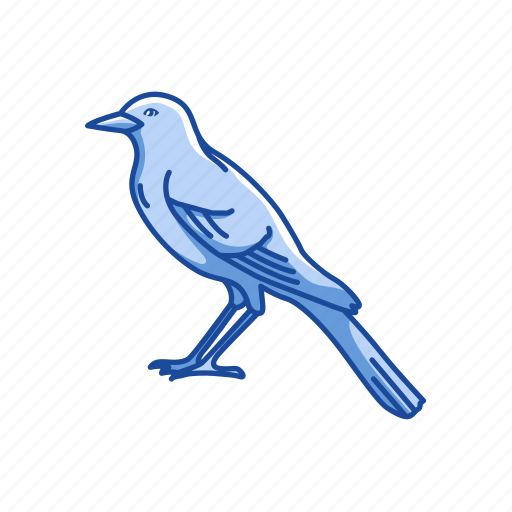 Animal, bird, feather, flying creature, mimic bird, passerine bird, vertebrates icon - Download on Iconfinder
