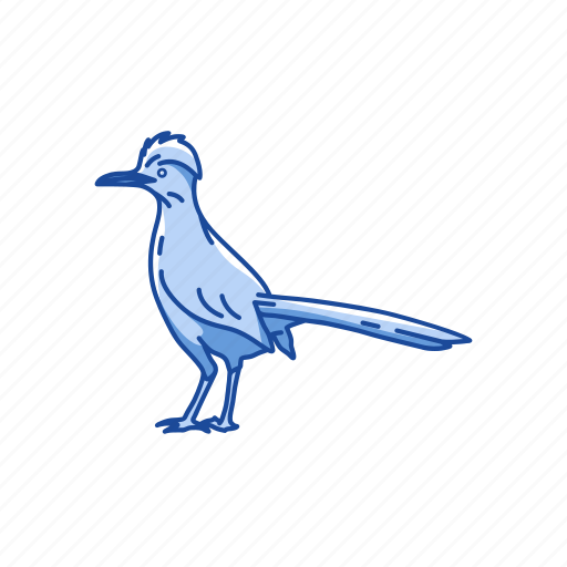 Animal, bird, chaparral cock, cock, flying creature, roadrunner, roadrunner bird icon - Download on Iconfinder