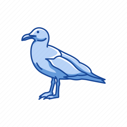 Animal, bird, gull, sea bird, sea gull, seagull, webbed feet icon - Download on Iconfinder