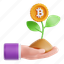plant, bitcoin, hand, ecology, gesture 