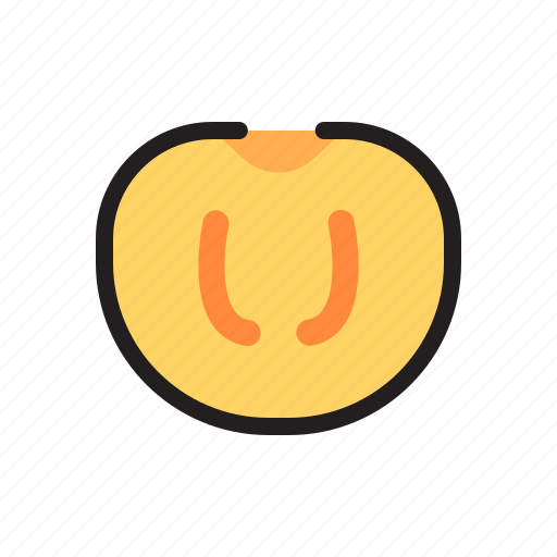 Diet, fruit, healthy, persimmon icon - Download on Iconfinder