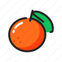 citrus, fruit, orange, tangerine