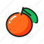 citrus, fruit, orange, tangerine 