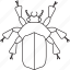 beetle, bw, art, bug, bugs, graphic, insect 