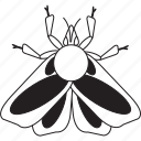 bw, moth, art, bug, bugs, graphic, insect
