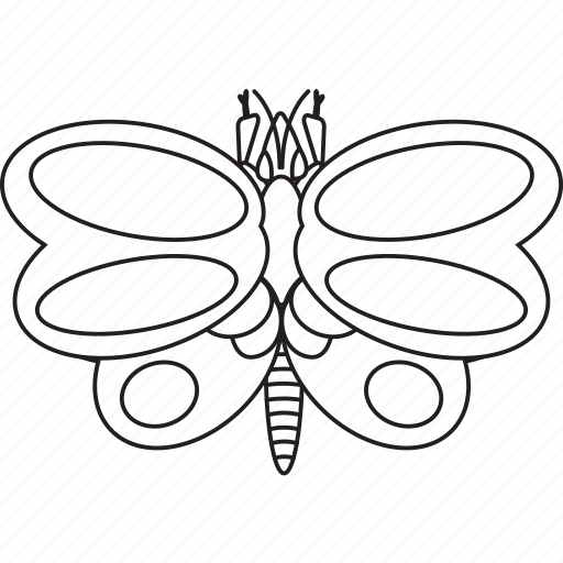 Butterfly, bw, art, bug, bugs, graphic, insect icon - Download on Iconfinder