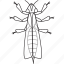 bw, wasp, art, bug, bugs, graphic, insect 