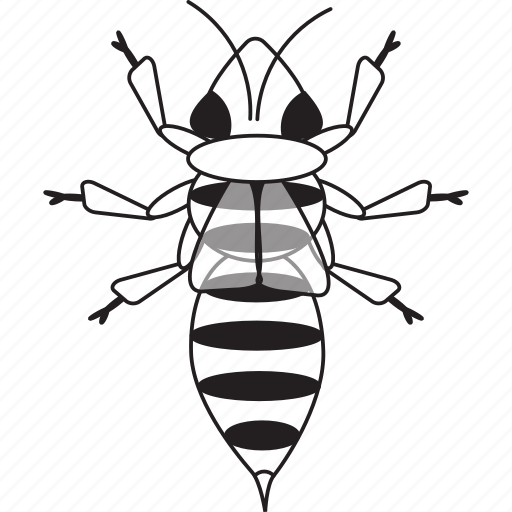 Bee, bw, art, bug, bugs, graphic, insect icon - Download on Iconfinder
