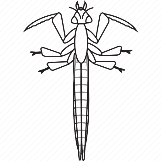 Bw, mantis, art, bug, bugs, graphic, insect icon - Download on Iconfinder