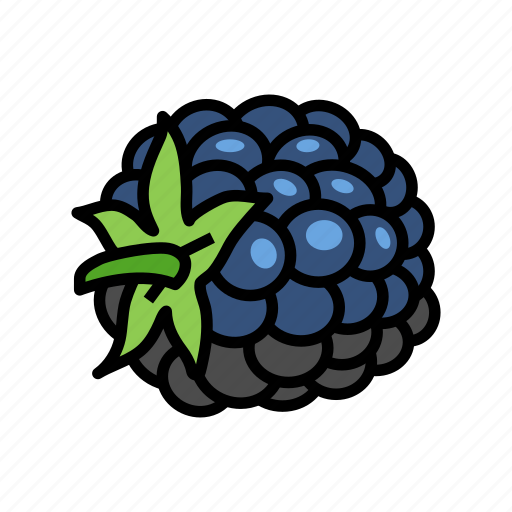 Blackberry, berry, leaf, fruit, food, summer icon - Download on Iconfinder
