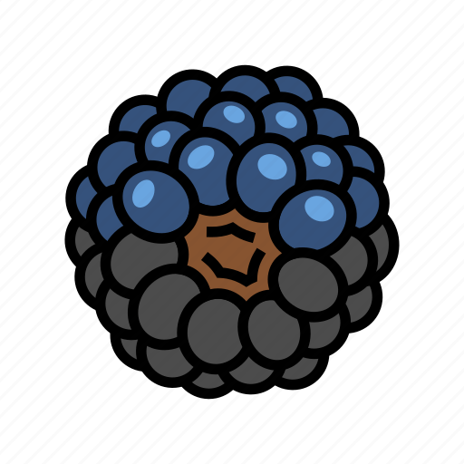 Blue, blackberry, ripe, fruit, berry, food icon - Download on Iconfinder
