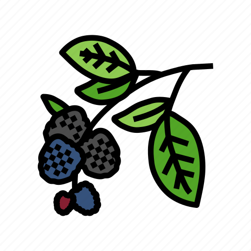 Branch, plant, blackberry, fruit, berry, food icon - Download on Iconfinder