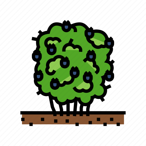 Green, blackberry, bush, fruit, berry, food icon - Download on Iconfinder