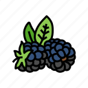 ripe, blackberry, leaf, fruit, berry, food