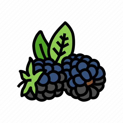 Ripe, blackberry, leaf, fruit, berry, food icon - Download on Iconfinder