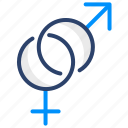 gender, gender symbol, male and female, vector, illustration, concept