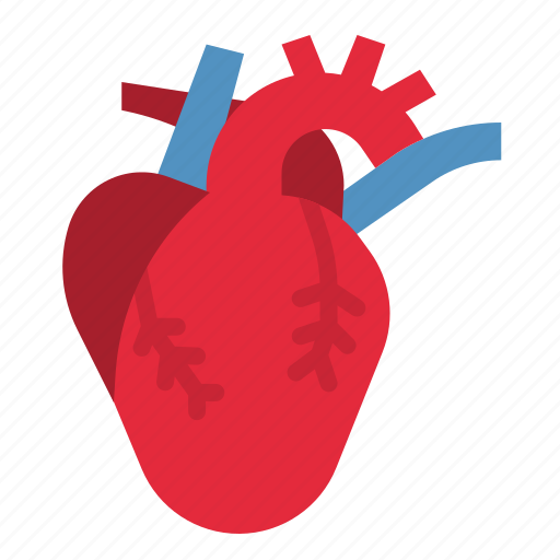 Heart, transplant, healthcare, medical, organ icon - Download on Iconfinder