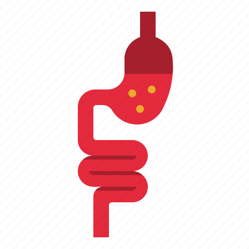 Intestine, small, digestion, physiology, healthcare icon - Download on Iconfinder