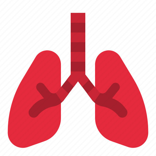 Lung, breath, organ, lungs, body icon - Download on Iconfinder