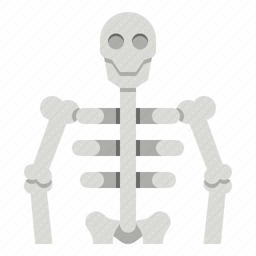 Skeleton, skull, bones, anatomy, medical icon - Download on Iconfinder