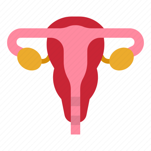 Uterus, woman, ovary, medicine, anatomy icon - Download on Iconfinder