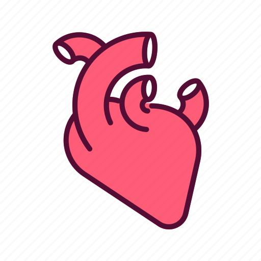 Heart, cardiac, health, organ, body, part icon - Download on Iconfinder