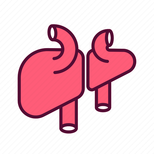 Liver, anatomy, health, organ, body, part icon - Download on Iconfinder