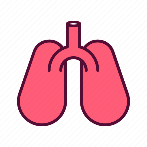 Lungs, breath, organs, anatomy, body, part icon - Download on Iconfinder