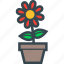 flower, flowerpot, garden, nature, pot 