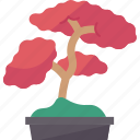 bonsai, tree, plant, miniature, asian