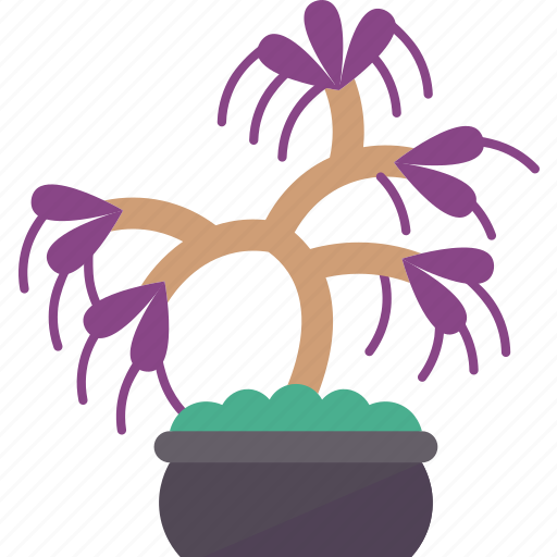 Bonsai, wisteria, branch, houseplant, nature icon - Download on Iconfinder