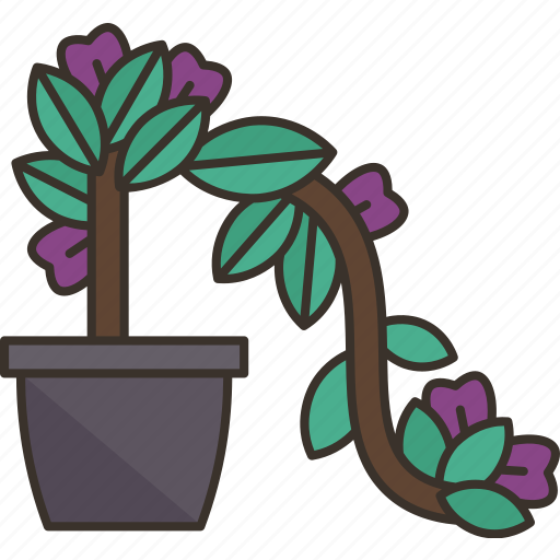 Bonsai, bougainvillea, blossom, botany, plant icon - Download on Iconfinder