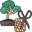 bonsai, tool, training, tree, gardening 