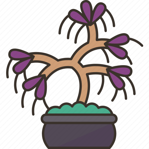 Bonsai, wisteria, branch, houseplant, nature icon - Download on Iconfinder