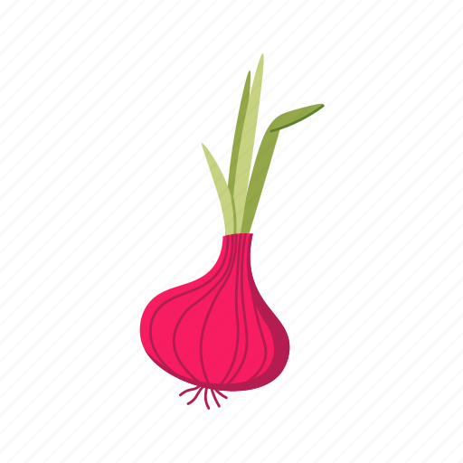 Onion, flat, icon, ukrainian, borscht, ingredient, vegetables icon - Download on Iconfinder