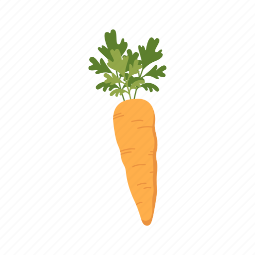 Carrot, flat, icon, ukrainian, borscht, ingredient, vegetables icon - Download on Iconfinder